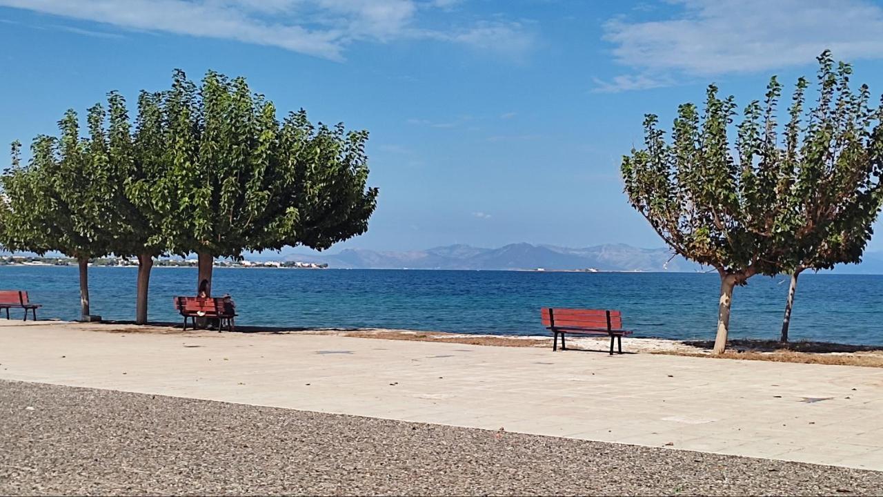Beautiful Choice - Near Athens Airport - 50M From The Sea - Iq+ Apartment Artemida  Bagian luar foto