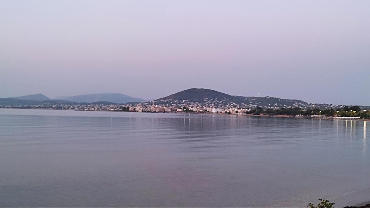 Beautiful Choice - Near Athens Airport - 50M From The Sea - Iq+ Apartment Artemida  Bagian luar foto