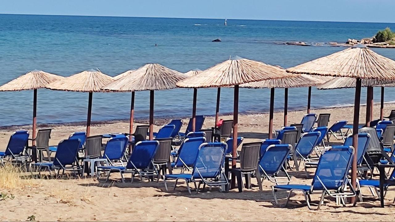 Beautiful Choice - Near Athens Airport - 50M From The Sea - Iq+ Apartment Artemida  Bagian luar foto