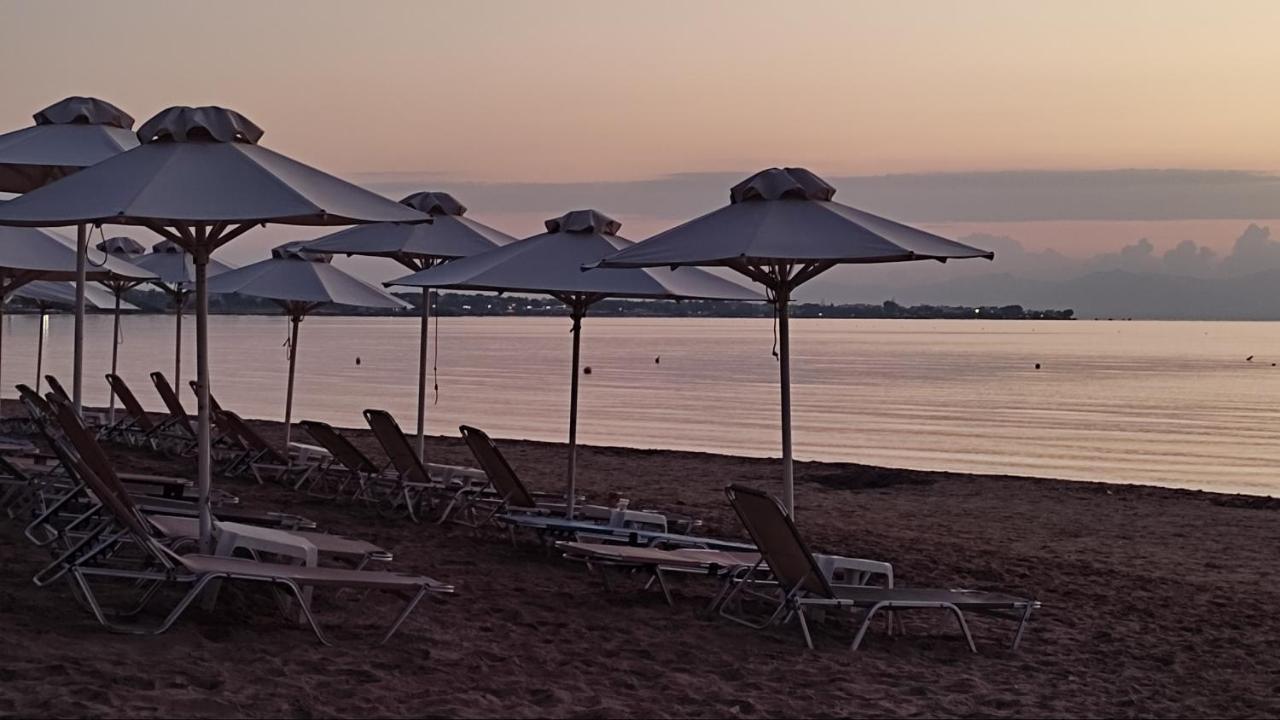 Beautiful Choice - Near Athens Airport - 50M From The Sea - Iq+ Apartment Artemida  Bagian luar foto